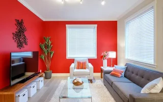 Beautiful-living-room